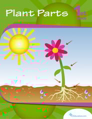 Plant Parts