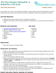 The Very Hungry Caterpillar: A Butterfly's Life Cycle