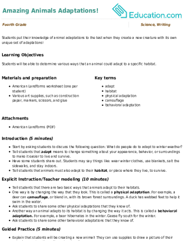 Amazing Animals Adaptations!