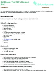 Bald Eagle: The USA's National Bird