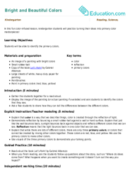 Bright and Beautiful Colors