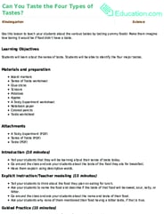 Can You Taste the Four Types of Tastes?