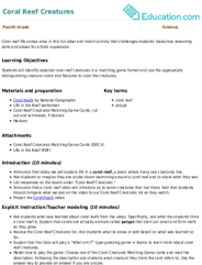 Coral Reef Creatures