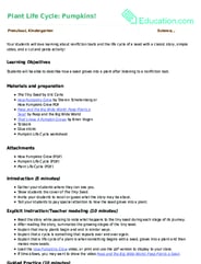 Plant Life Cycle: Pumpkins!