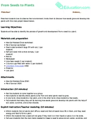 From Seeds to Plants