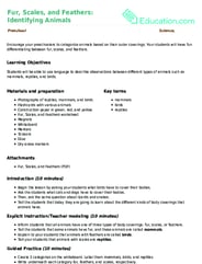 Fur, Scales, and Feathers: Identifying Animals