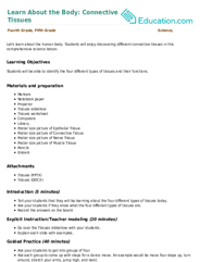 Learn About the Body: Connective Tissues