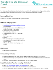 The Life Cycle of a Chicken Art Project