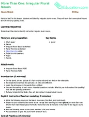 More Than One: Irregular Plural Nouns