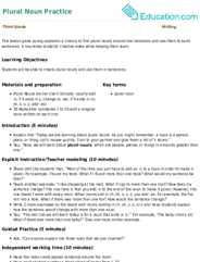 Plural Noun Practice