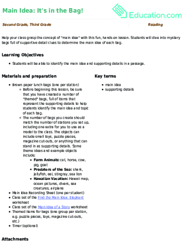 Main Idea: It's in the Bag!