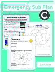 Third Grade Daily Sub Plan 3