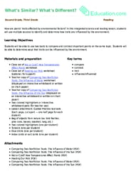 What’s Similar? What’s Different?