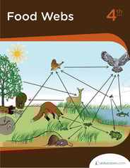 Food Webs