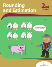 Rounding and Estimation