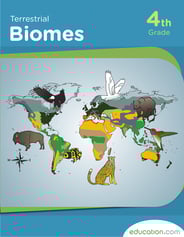 Terrestrial Biomes