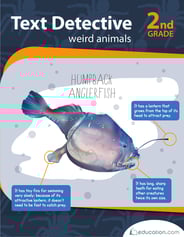 Text Detective: Weird Animals