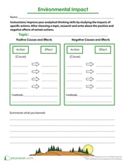 Environmental Impact