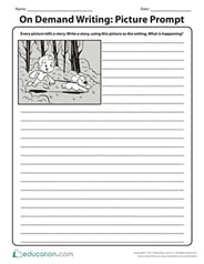 On Demand Writing: Picture Prompt