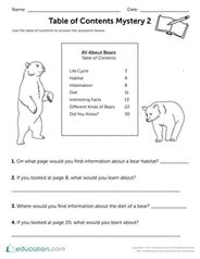 Table of Contents Mystery #2
