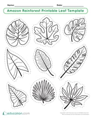 Amazon Rainforest Printable Leaf Template