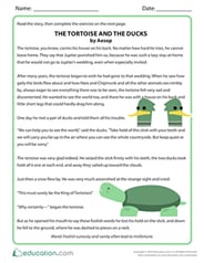The Tortoise and the Ducks