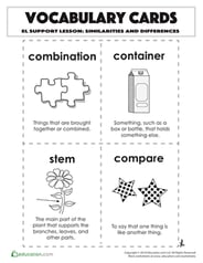 Vocabulary Cards: Similarities and Differences