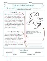 Starfish Text Features