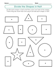 Divide the Shapes in Half