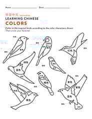 Learn Chinese: Color the Tropical Birds