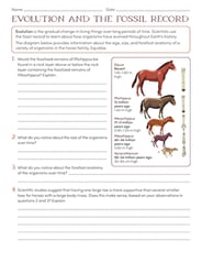 Evolution Worksheets High School