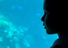 The Zoo Stories: Imagining Animals at Night