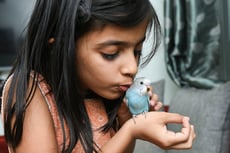 Create an Animal Folk Tale