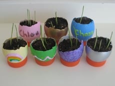 Eggshell Planters