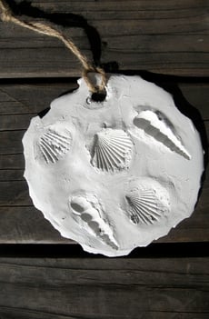 Fossil Fun