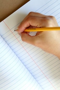 Cracking the Essay Question