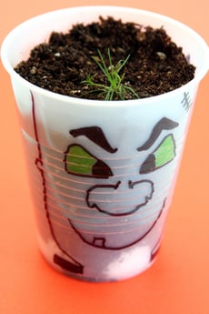 Make a Plastic Cup Monster!