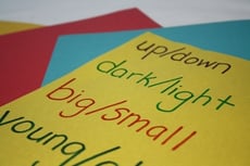Learning Opposites