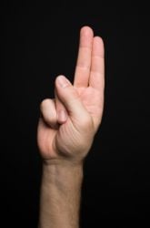 The Effect of Repetition in Sign Language Acquisition in Infants 