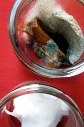 Take Science Home with Decomposition