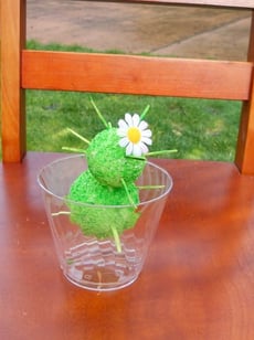 Cactus Craft