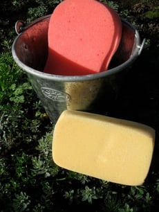 Sponge Relay