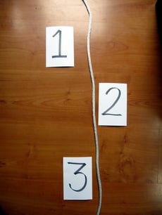 Interactive Number Line