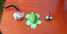Walnut Shell Animals