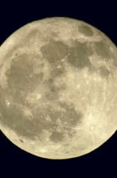 Lunar Madness