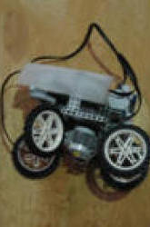Not Cow Tipping - Car Tipping!
