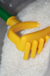 Explore the Senses with a Sensory Table!