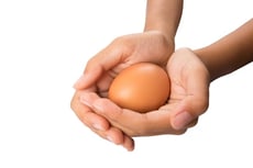 Design Challenge: Egg Drop