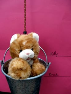 Make a Bungee Scale