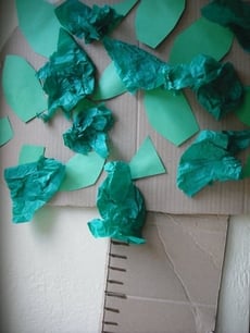 Growth Chart